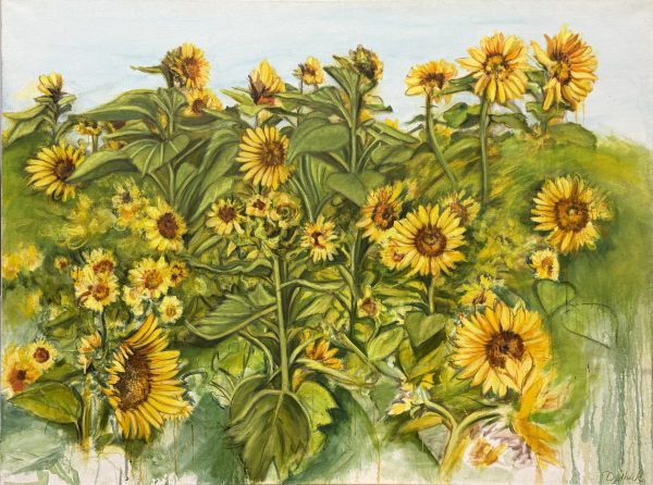 Sunflower Field