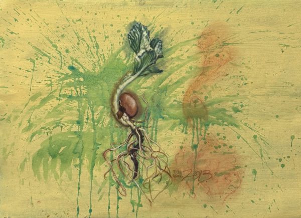 [Untitled] Bean Sprout