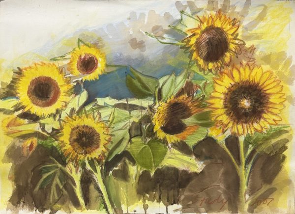 [Untitled] Sunflower Study